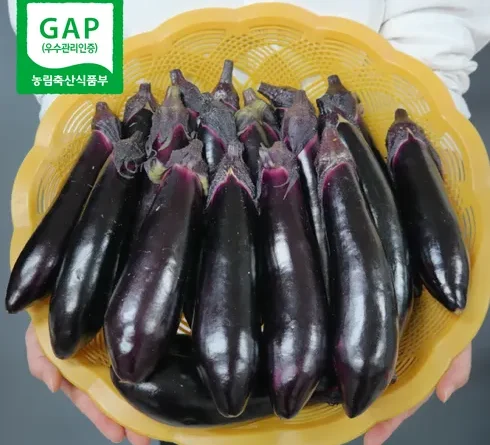 후회 없는 선택! 가지 베스트9