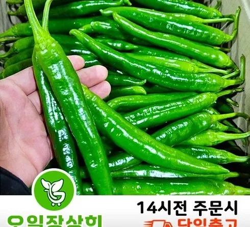 이 가격에 이런 품질? 고추 베스트9